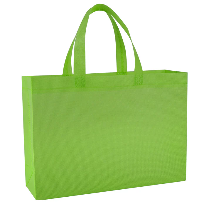 Reusable Grocery Bag1